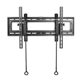 EXTENDED TILT TV MOUNT